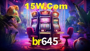 Bonus Features br645